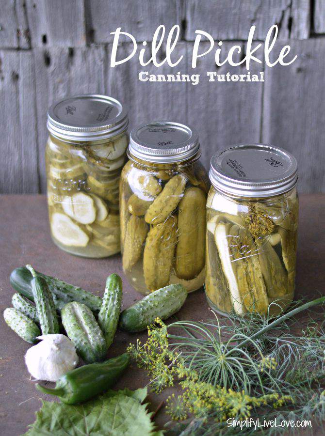 dill-pickles