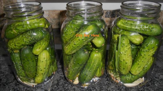 dill-pickles-2