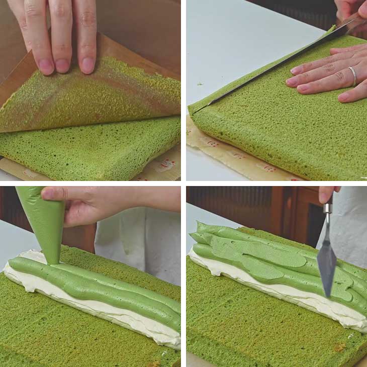 assembling the swiss roll1