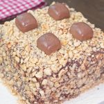 chocolate hazelnut cake1