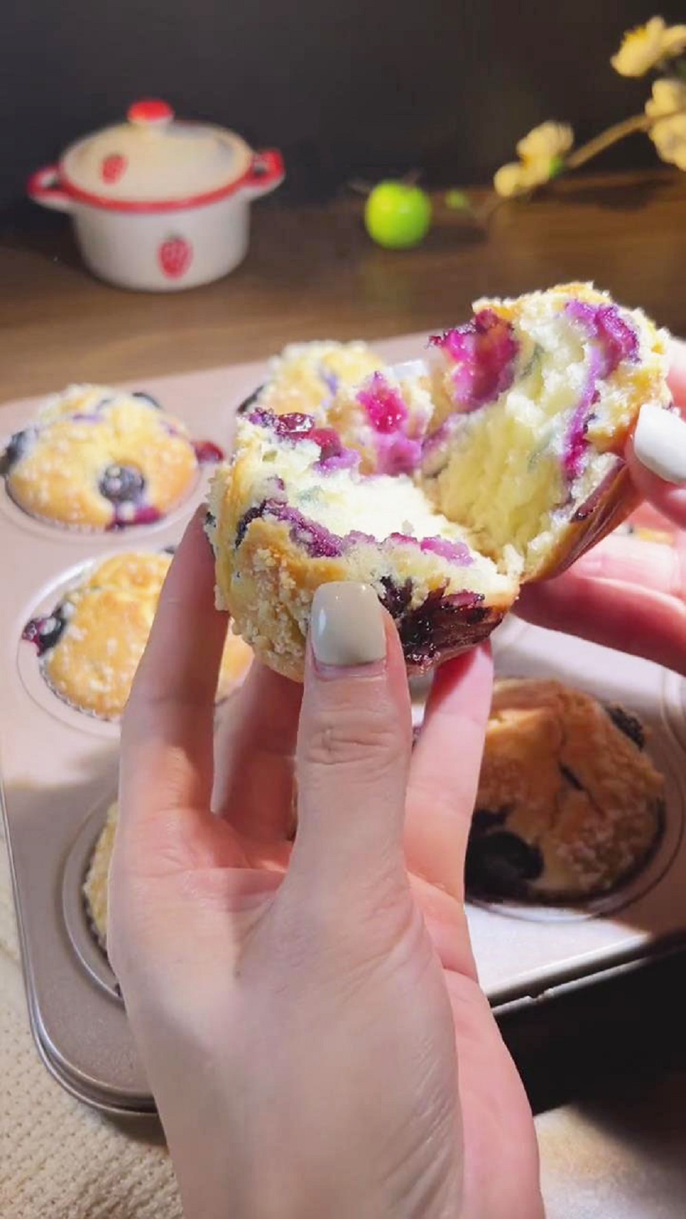 blueberry muffin 2 blueberry muffin 2