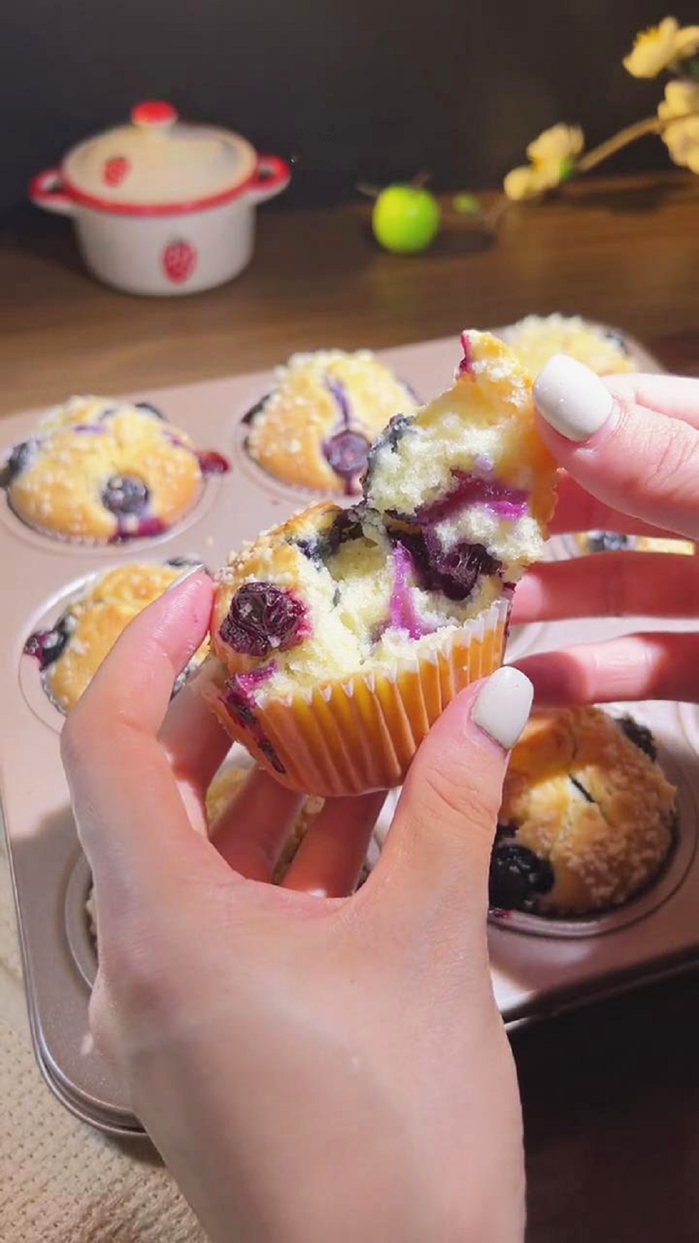 blueberry muffin 3 blueberry muffin 3