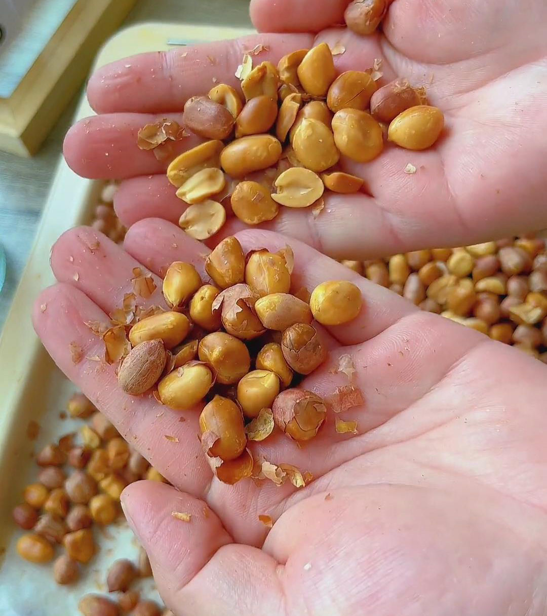gently rub the peanuts with your hands