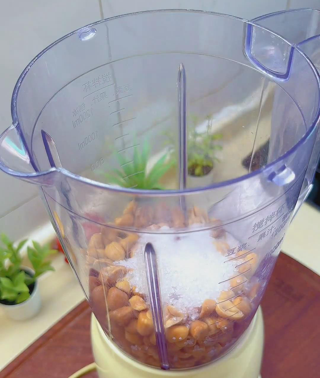 place the peeled peanuts into a blender