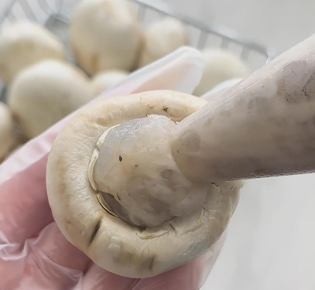 squeeze the shrimp paste into the mushroom caps squeeze the shrimp paste into the mushroom caps