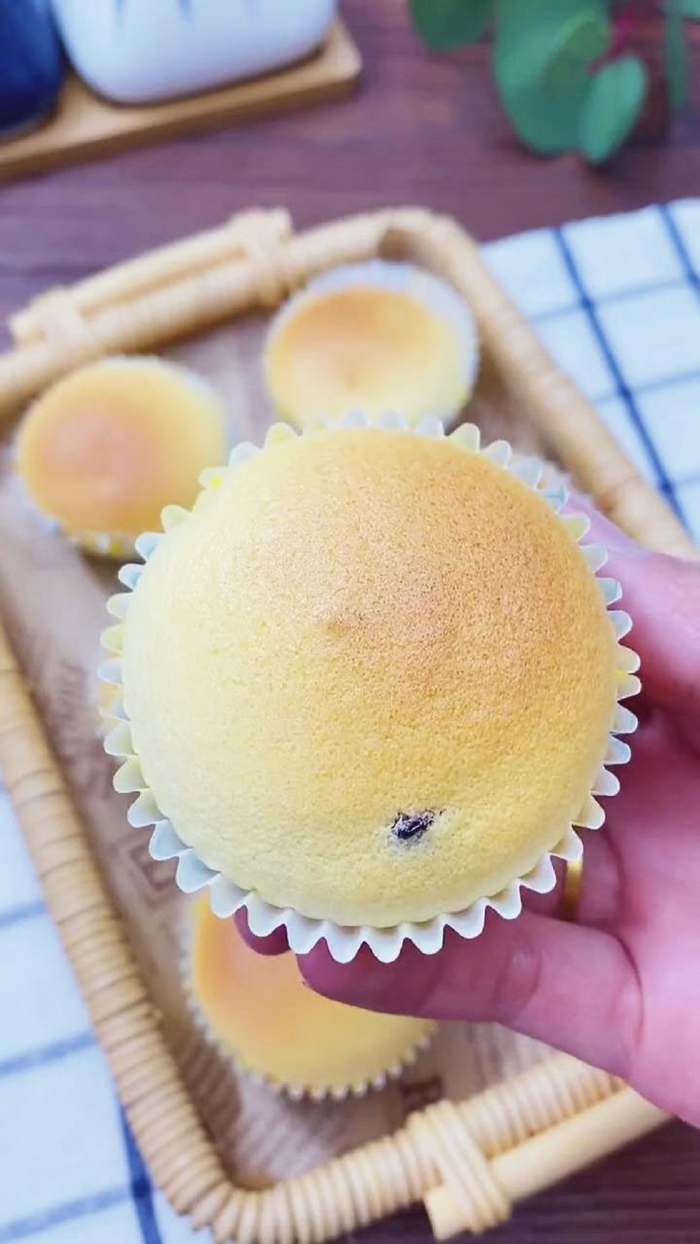 yogurt cupcakes 1